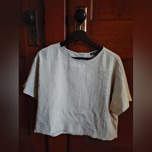 Adrianna Papell Light Gray Crop Top